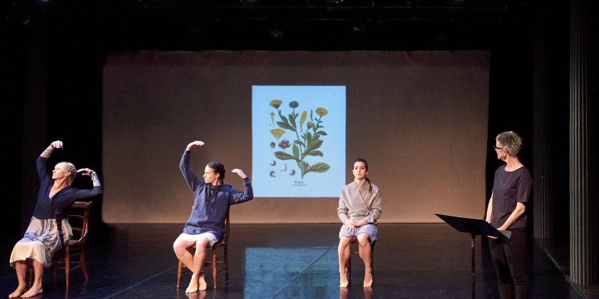 IMPRESSIONS: Hilary Easton's Thoughtful Dance-Theater "Ringelblum" at Gibney Dance