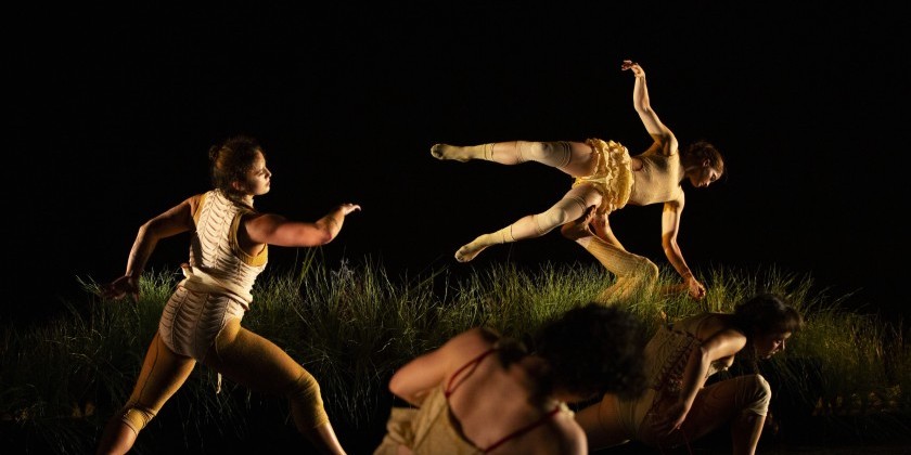 IMPRESSIONS: Hivewild Presents "with your sweet fragrance" at New York Live Arts