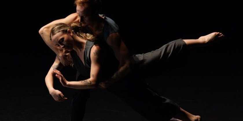 ZviDance Presents World Premiere of "THE FIELD"