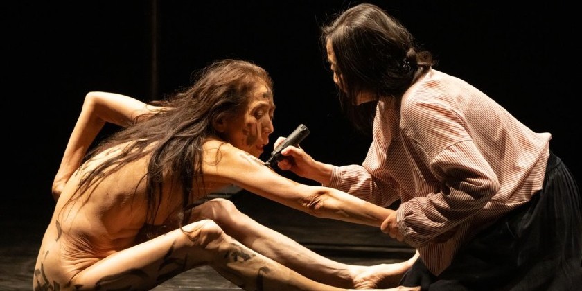 IMPRESSIONS: Eiko Otake and Wen Hui in "What is War" at Brooklyn Academy of Music