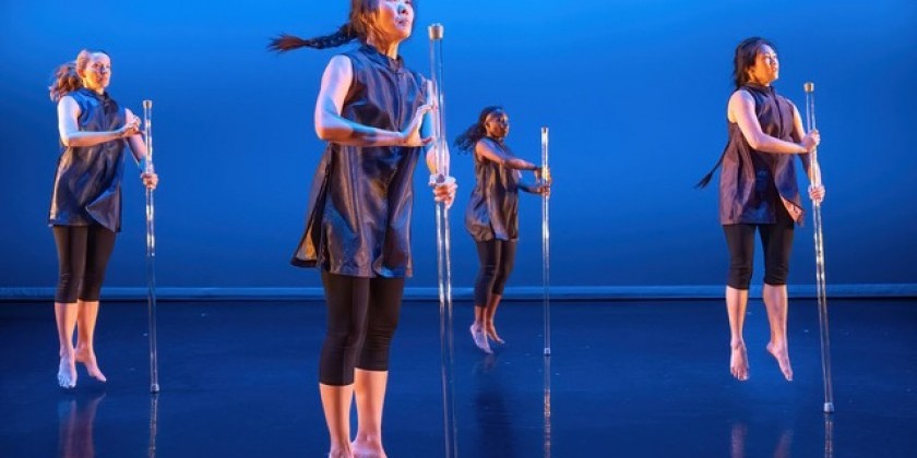 American Dance Guild Issues Call for Choreography: ADGFEST 2024 "Leaps Beyond Bounds" (DEADLINE: OCT 30)