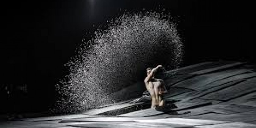 Audience Review: 'The Great Tamer' by Dimitris Papaioannou | The Dance ...