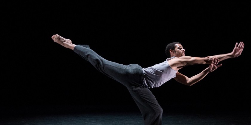 Purchase Dance Company's Fall 2023 Concert