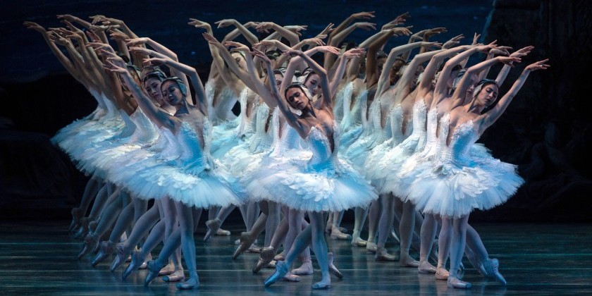 IMPRESSIONS: American Ballet Theatre in "Swan Lake" at Lincoln Center