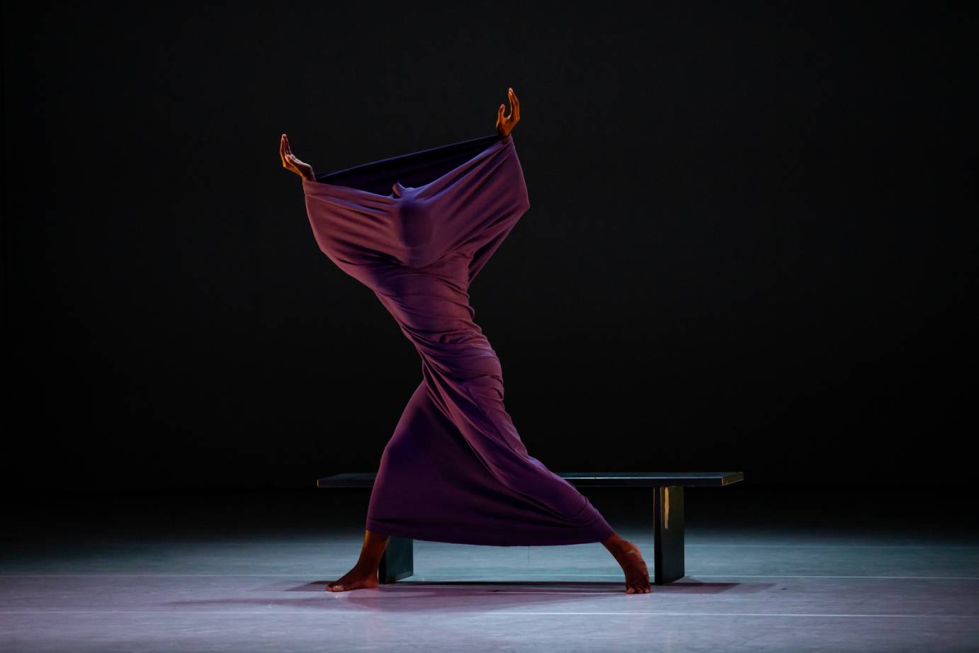 Leslie Andrea Williams encased in a purple tube of lycra performing Graham's Lamentations. we notice the sharp angles of her elbows  and knees as she faces away from us.